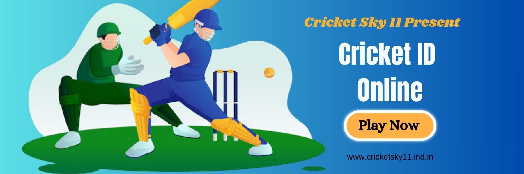 Cricket Id Banner
